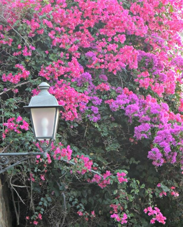 B&B La Veduta Scilla Dış mekan fotoğraf