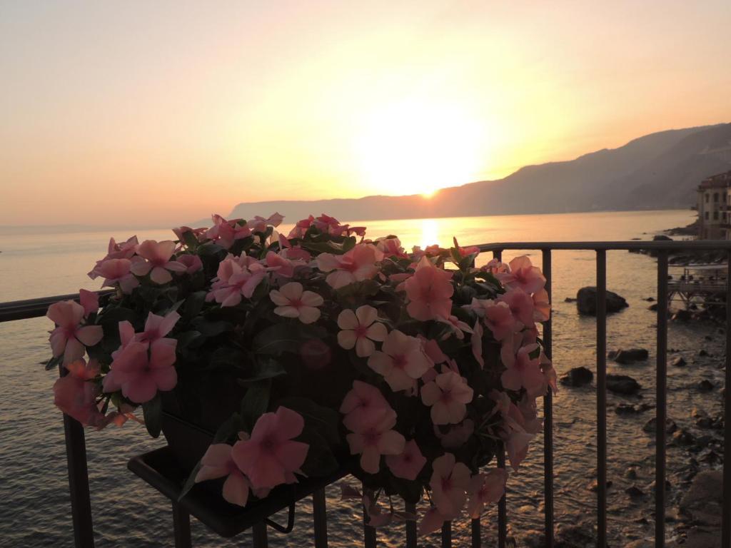 B&B La Veduta Scilla Dış mekan fotoğraf